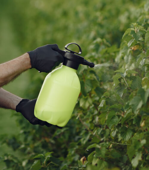 Agrochemicals